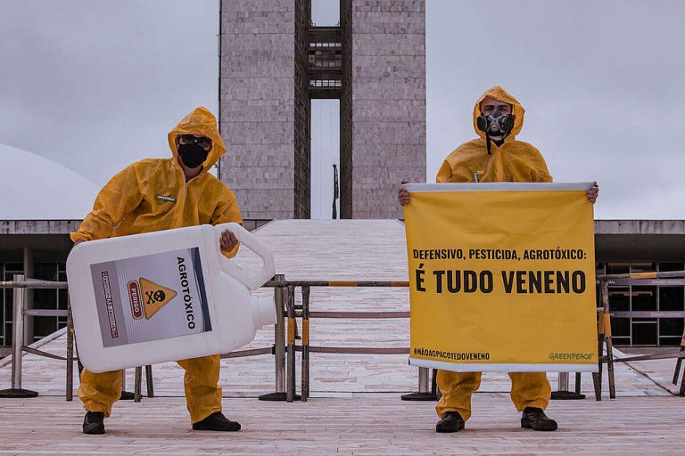 Ativistas do Greenpeace fazem protesto contra agrotóxicos no Congresso Nacional: Lula vetou trecho do PL do Veneno que limitava ação de Ibama e Anvisa (Foto: Bárbara Cruz / Greenpeace)