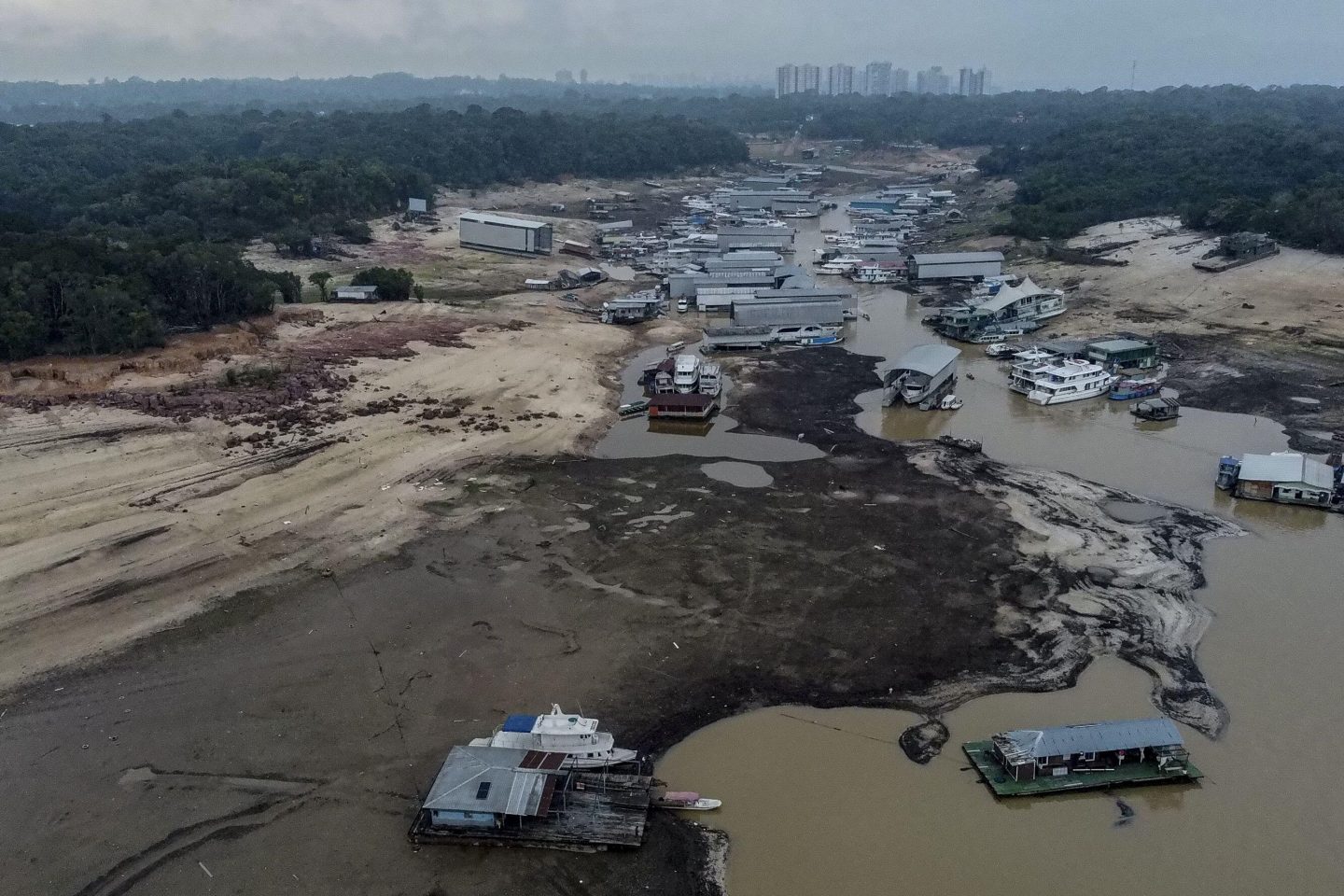 O Igarapé do Gigante, que deságua no rio Negro, em Manaus, é um dos locais mais duramente atingidos pela seca no Amazonas. Foto Alamy