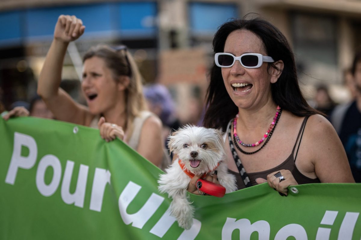 Manifestantes de todas as espécies protestam em Lausanne, na Suíça, no Dia Mundial contra o Especismo de 2022. Foto Fabrice Coffrini/AFP