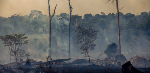 Fumaça sobe de incêndios florestais em Altamira, estado do Pará, em agosto de 2019. Foto João Laet/AFP