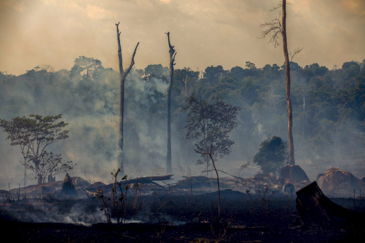 Fumaça sobe de incêndios florestais em Altamira, estado do Pará, em agosto de 2019. Foto João Laet/AFP