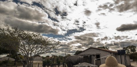Comunidades Brejeiras e de Fundo de Pasto do semiárido baiana ganham visibilidade e então entre os favoritos para receber prêmio da Embrapa. Foto Thiago Ripper