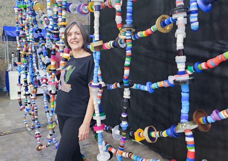 Helena Rocha, diretora da Pipa Social Qual o sentido de ter um ofício se isso não gera renda para você? Foto Pipa Social