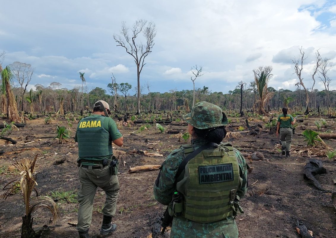 Operação do Ibama contra o desmatamento no Amazonas: redução de 50% em 2023 (Foto: Ibama/Divulgação - 11/12/2023)