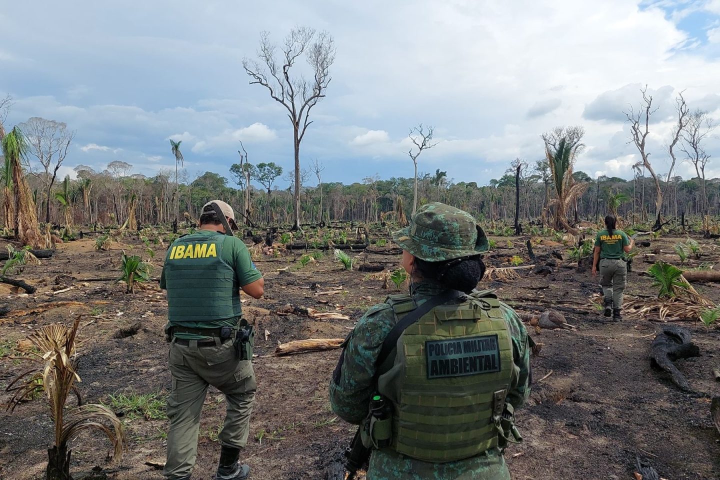 Operação do Ibama contra o desmatamento no Amazonas: redução de 50% em 2023 (Foto: Ibama/Divulgação - 11/12/2023)