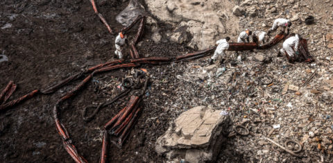 Equipe de limpeza na praia de Cavero, Peru, uma das 21 praias afetadas pelo vazamento de óleo da Repsol em 2022. A tipificação penal do ecocídio resolveria uma lacuna jurídica para responsabilizar indivíduos sobre impactos ambientais. Foto Musuk Nolte/ Greenpeace