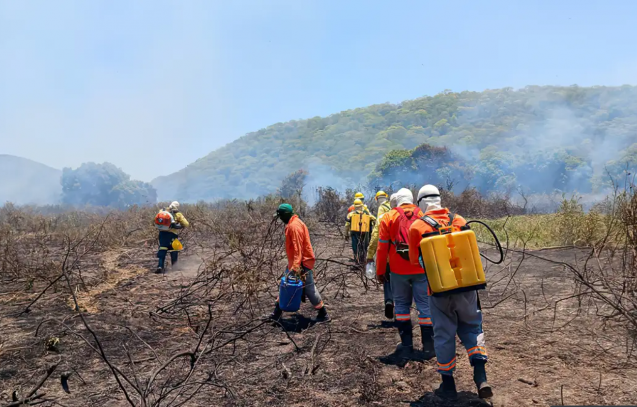 Brigadas combatem fogo na Serra do Amoçar: incêndio fora de época assusta ambientalistas e investidores em preservação do Pantanal (Foto: IHP)