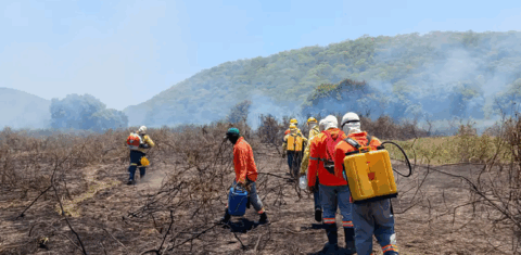 Brigadas combatem fogo na Serra do Amoçar: incêndio fora de época assusta ambientalistas e investidores em preservação do Pantanal (Foto: IHP)