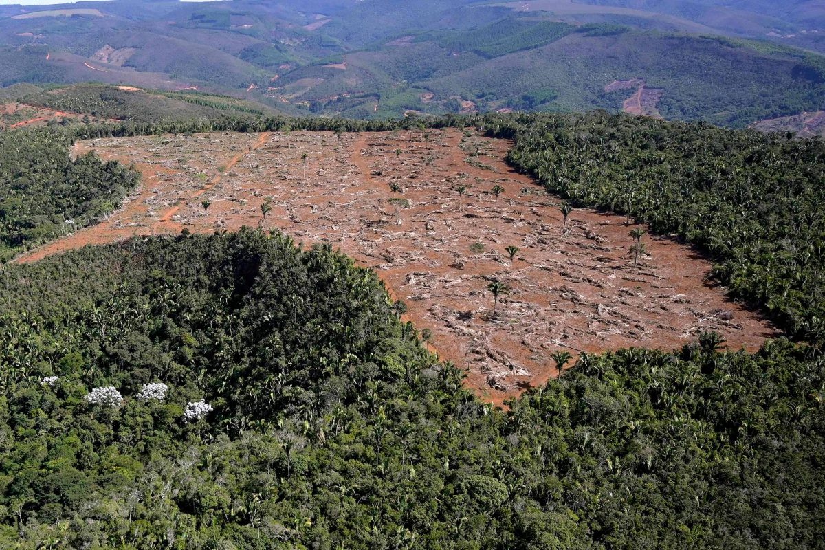Área desmatada na Mata Atlântica: projeto aprovado na Câmara deixa biomas desprotegidos e ameaça vegetação nativa (Foto: SOS Mata Atlântica)