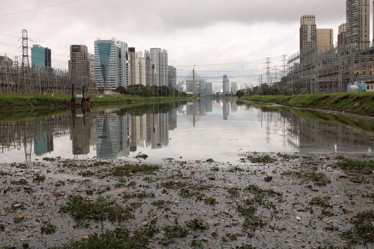 Rio Pinheiros, em São Paulo, tem a pior qualidade de água entre mais de mil amostras analisadas na Mata Atlântica: só 8% com água de boa qualidade (Foto: Rovena Rosa / Agência Brasil - 05/06/2019)