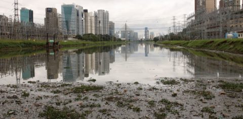 Rio Pinheiros, em São Paulo, tem a pior qualidade de água entre mais de mil amostras analisadas na Mata Atlântica: só 8% com água de boa qualidade (Foto: Rovena Rosa / Agência Brasil - 05/06/2019)