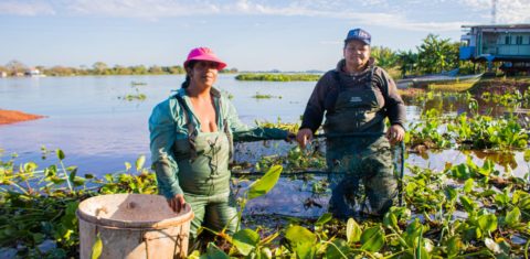 O crescente turismo de pesca no Pantanal, esporte majoritariamente masculino, não poderia existir se não fosse o trabalho braçal dessas corajosas ribeirinhas. Foto Raquel Alves