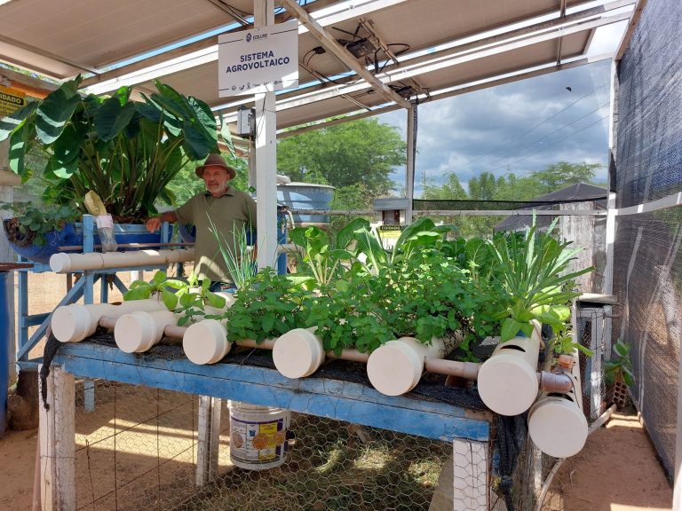 O professor Sebastião Alves no projeto-piloto do sistema agrofotovoltaico instalado em Ibimirim, no sertão de Pernambuco: criação de hortaliças, galinhas e peixes com energia solar (Foto: Letícia Barbosa / Coletivo Caburé)