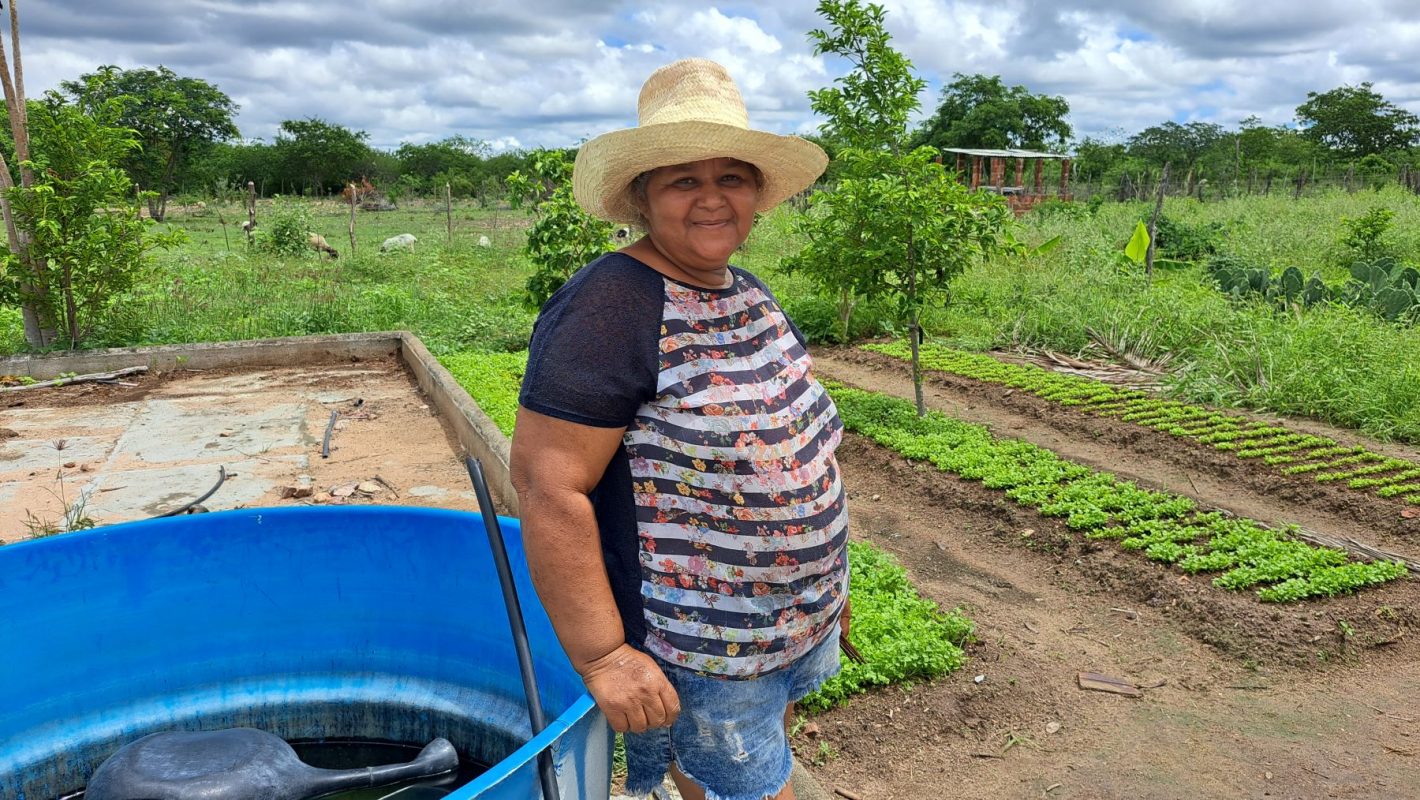 A agricultora Geralda Nery em sua horta em Ibimirim: sistema agrofotovoltaico ajudou a melhorar a produção (Foto: Guilherme dos Santos / Coletivo Caburé)
