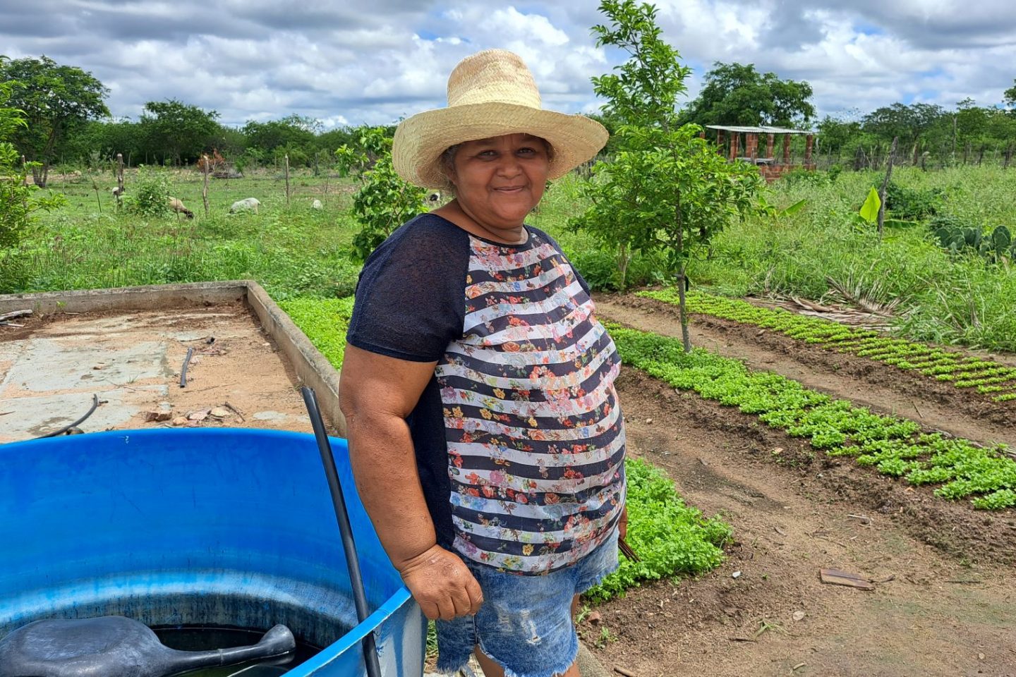 A agricultora Geralda Nery em sua horta em Ibimirim: sistema agrofotovoltaico ajudou a melhorar a produção (Foto: Guilherme dos Santos / Coletivo Caburé)