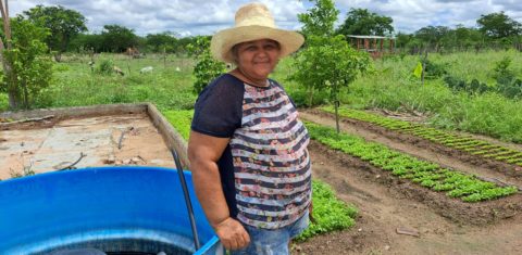 A agricultora Geralda Nery em sua horta em Ibimirim: sistema agrofotovoltaico ajudou a melhorar a produção (Foto: Guilherme dos Santos / Coletivo Caburé)