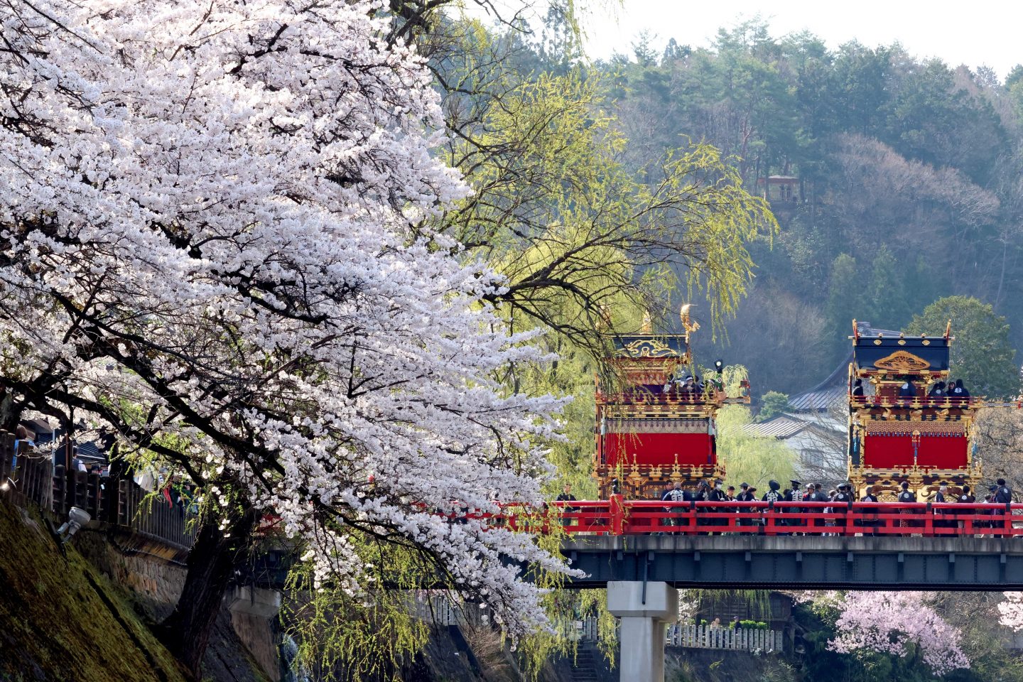 Carros alegóricos cruzam uma ponte laqueada de vermelho perto de cerejeiras em plena floração no segundo dia do Festival da Primavera de Takayama na província de Gifu. O Japão caminha para ser uma referência mundial em qualidade de vida e preservação ambiental. Foto Yasushi Kanno/The Yomiuri Shimbun via AFP