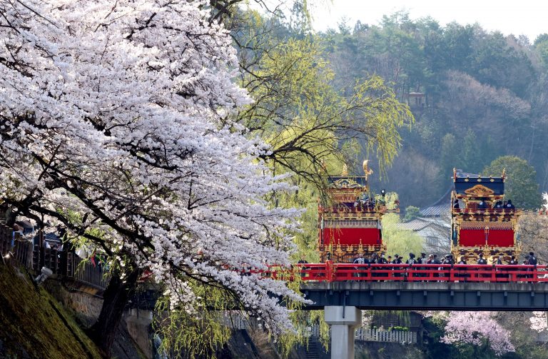 Carros alegóricos cruzam uma ponte laqueada de vermelho perto de cerejeiras em plena floração no segundo dia do Festival da Primavera de Takayama na província de Gifu. O Japão caminha para ser uma referência mundial em qualidade de vida e preservação ambiental. Foto Yasushi Kanno/The Yomiuri Shimbun via AFP