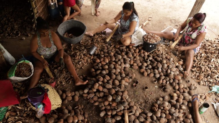 Quebradeiras trabalham na comunidade de Sumaúma: mulheres de origem quilombola, afrodescendente e indígena lutam para preservar a tradição, que garante a sobrevivência de seus corpos e de uma cultura ancestral. Fotos de Gabriele Roza