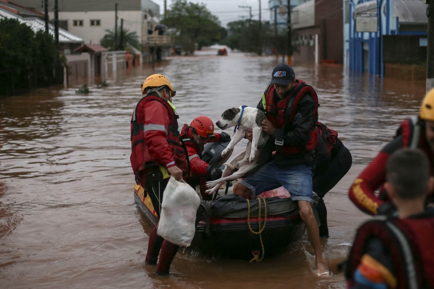 Voluntários resgatam cachorro e moradores de São Sebastião do Caí: mais de sete mil animais domésticos resgatados da enchente no Rio Grande do Sul (Foto: Anselmo Cunha / AFP - 02/05/2024)