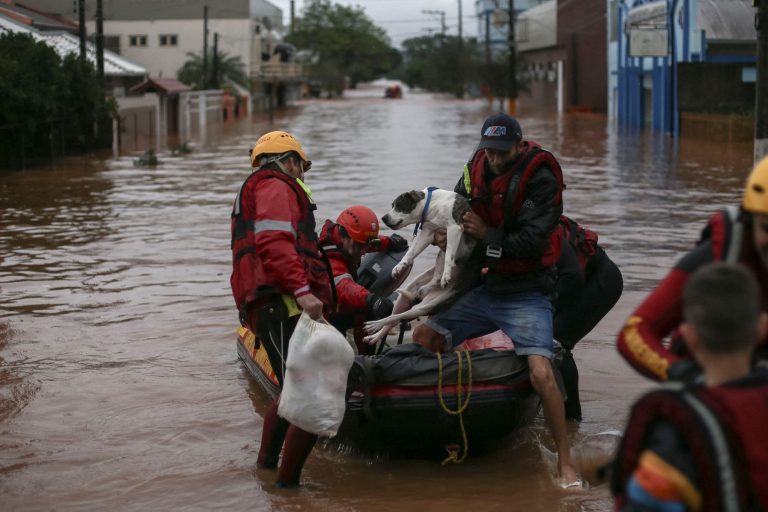 Voluntários resgatam cachorro e moradores de São Sebastião do Caí: mais de sete mil animais domésticos resgatados da enchente no Rio Grande do Sul (Foto: Anselmo Cunha / AFP - 02/05/2024)