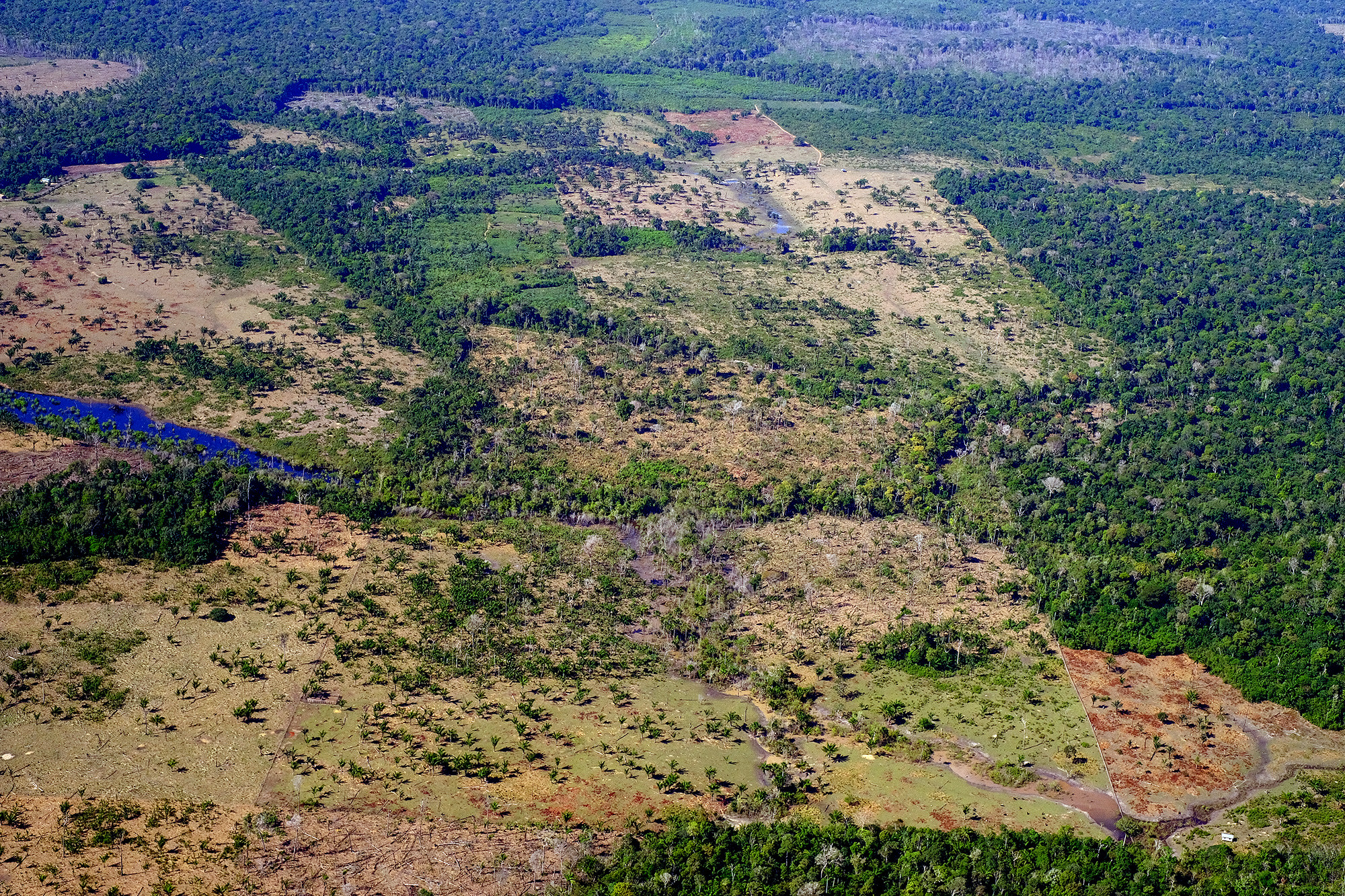 Desmatamento no município de Careiro da Várzea, no Amazonas: queda de 62% na área desmatada da Amazônia em 2023 (Foto: Alberto César Araújo/Amazônia Real)