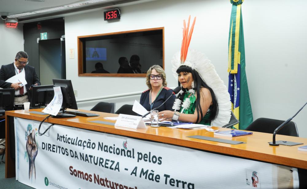 A deputada Célia Xakriabá em audiência pública na Câmara: PEC para garantir direitos da natureza (Foto: Renato Simões / Câmara dos Deputados)