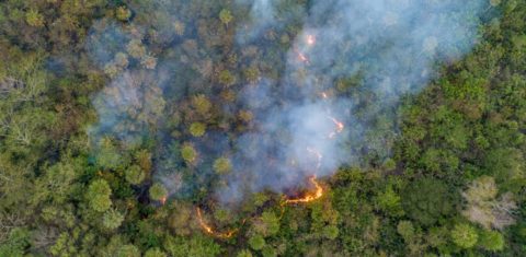 Pantanal em chamas com 880 focos de queimadas em 2024: agronegócio barrou iniciativa de município pantaneiro pelos direitos da natureza (Foto: Silas Ismael / WWF Brasil)