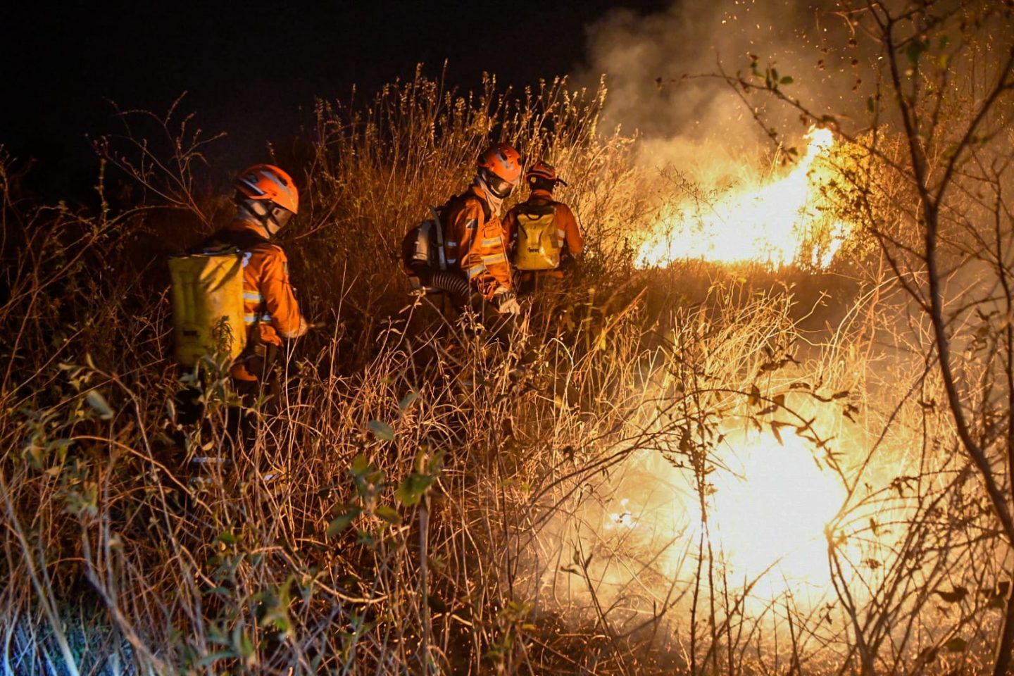 Bombeiros combatem incêndio no Pantanal: bioma mais seco e recorde de queimadas (Foto: Bruno Rezende / SecomMS)