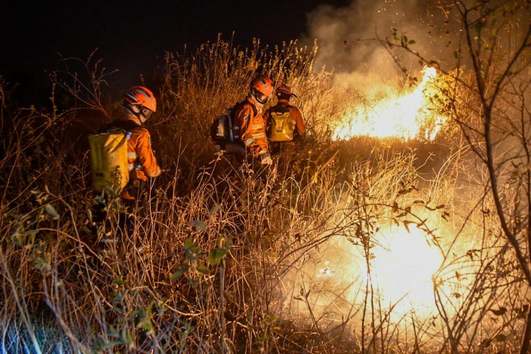 Bombeiros combatem incêndio no Pantanal: bioma mais seco e recorde de queimadas (Foto: Bruno Rezende / SecomMS)