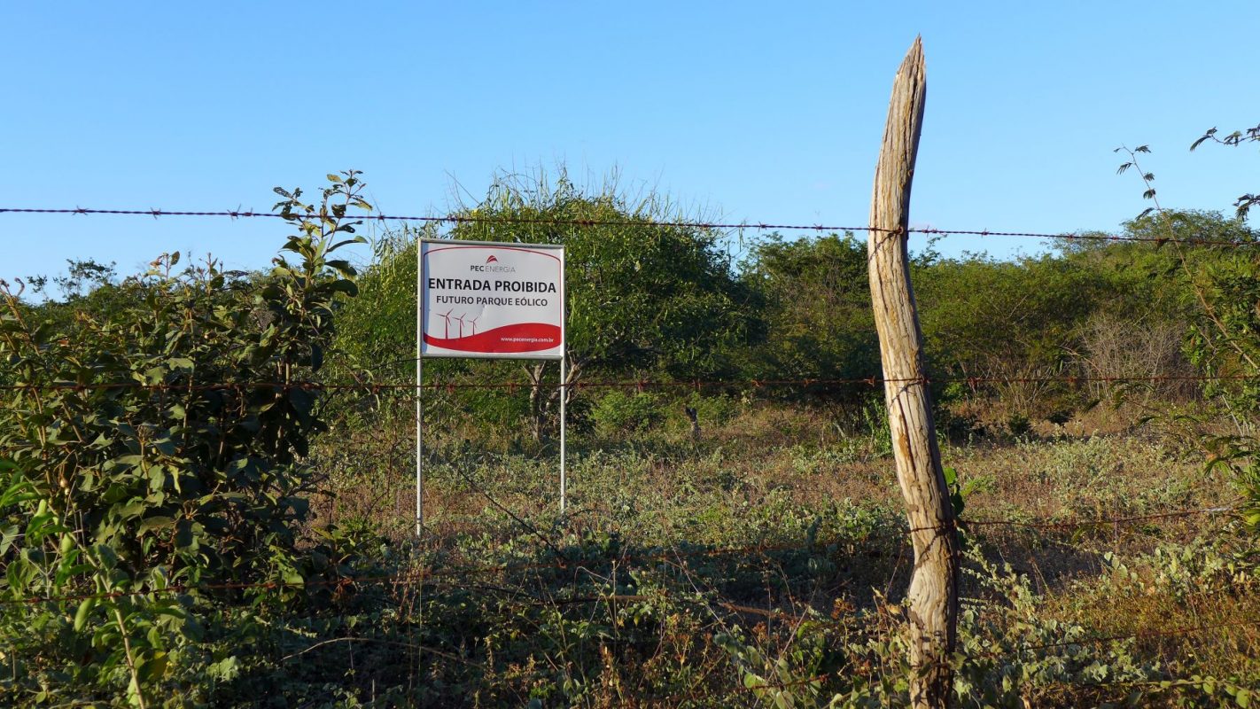 Área demarcada para parque eólica em Remanso: como a vizinha Pilão Arcado, município está na mira de empresas de energia e mineração (Foto:Thomas Bauer - CPT Bahia/ H3000)