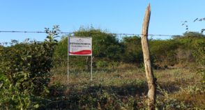 Mapeadas, Remanso e Pilão Arcado temem nova ofensiva em territórios reconstruídos