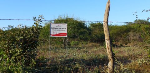 Área demarcada para parque eólica em Remanso: como a vizinha Pilão Arcado, município está na mira de empresas de energia e mineração (Foto:Thomas Bauer - CPT Bahia/ H3000)