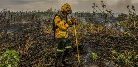 Brigadista tenta conter o fogo no Pantanal: incêndios podem ter degradado 9% do bioma nos últimos anos (Foto: Marcelo Camargo / Agência Brasil - 30/06/2024)