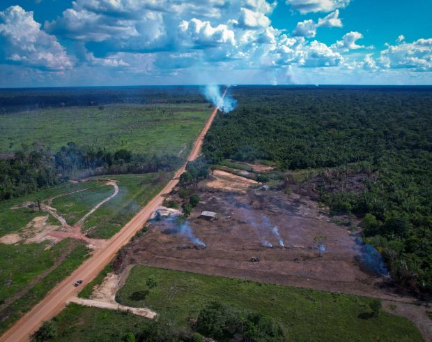 Por que a pavimentação da BR-319 sem licenciamento é mau negócio em 10 pontos