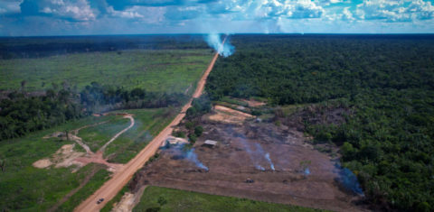 Desmatamento em trecho da BR-319: juíza cancelou licença prévia concedida no Governo Bolsonaro (Foto: Orlando K. Jr./ FAS)