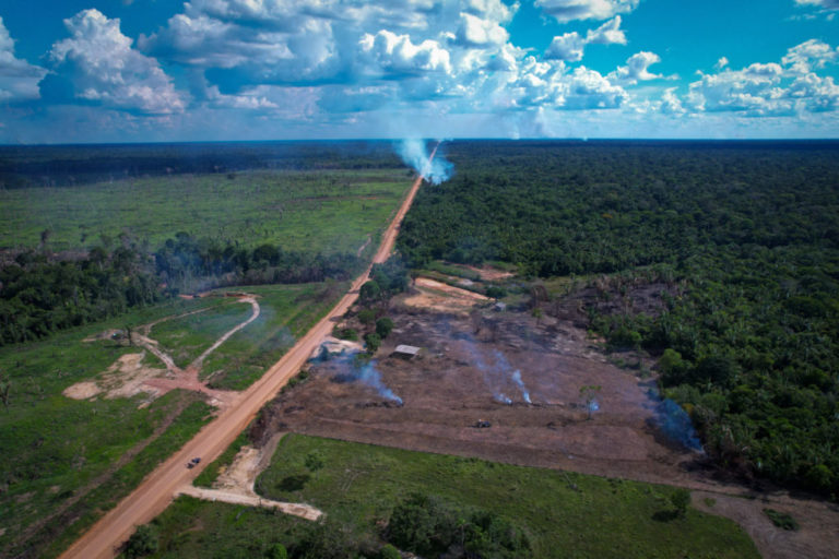 Desmatamento em trecho da BR-319: juíza cancelou licença prévia concedida no Governo Bolsonaro (Foto: Orlando K. Jr./ FAS)