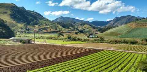 Exemplo de paisagem multifuncional na região serrana do Rio de Janeiro. De acordo com o estudo, "é possível conciliar agricultura e conservação com tomada de decisão baseada no conhecimento científico". Foto Rachel Bardy (BPBES)