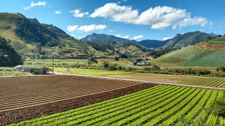 Exemplo de paisagem multifuncional na região serrana do Rio de Janeiro. De acordo com o estudo, "é possível conciliar agricultura e conservação com tomada de decisão baseada no conhecimento científico". Foto Rachel Bardy (BPBES)