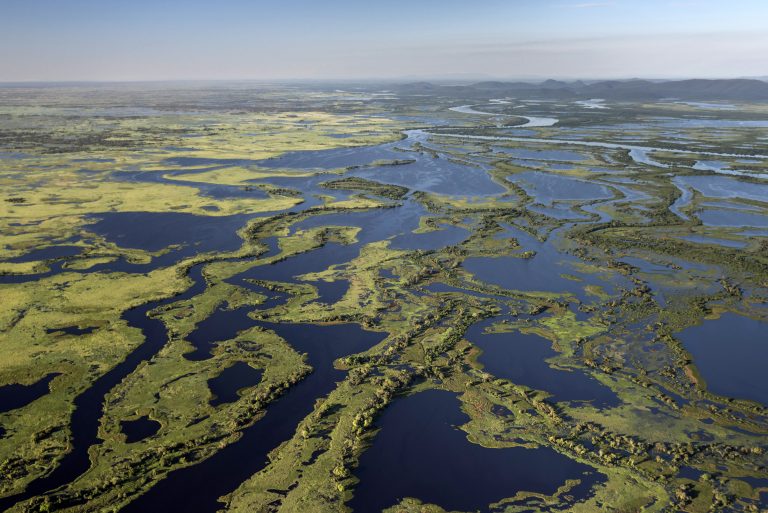Vista aérea do Pantanal Mato grossense. A região enfrenta a maior crise hídrica da sua história. Foto WWF-Brasil