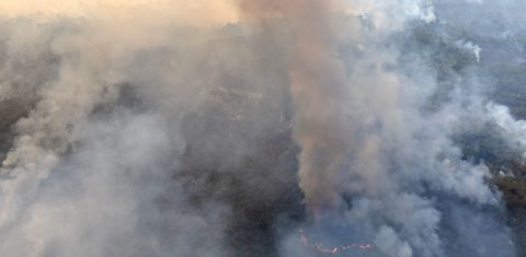 Fumaça de queimadas sobre o Amazonas: rios voadores levam gases tóxicos para Sul e Sudeste (Foto: Marizilda Cruppe / Greeenpeace - 31/07/20234)
