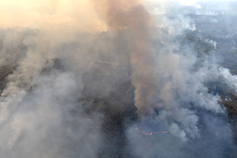 Fumaça de queimadas sobre o Amazonas: rios voadores levam gases tóxicos para Sul e Sudeste (Foto: Marizilda Cruppe / Greeenpeace - 31/07/20234)