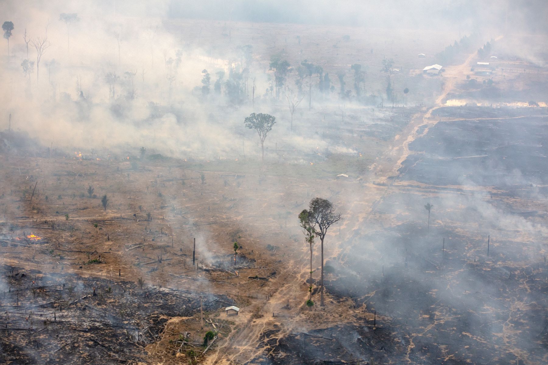 Fumaça de queimadas entre Amazonas e Rondônia: incêndios e seca extrema na Amazônia preocupam ambientalistas (Foto: Marizilda Cruppe / Greenpeace - 01/08/2024)