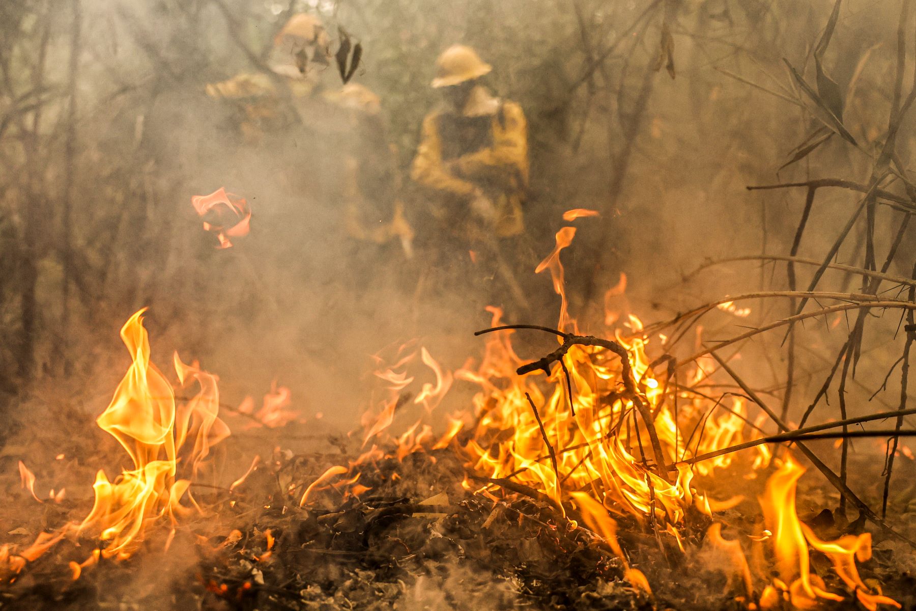 Brigadistas no combate ao fogo no Pantanal: após redução em julho, focos de incêndio voltam com força em agosto (Foto: Marcelo Camargo / Agência Brasil - 30/06/2024)