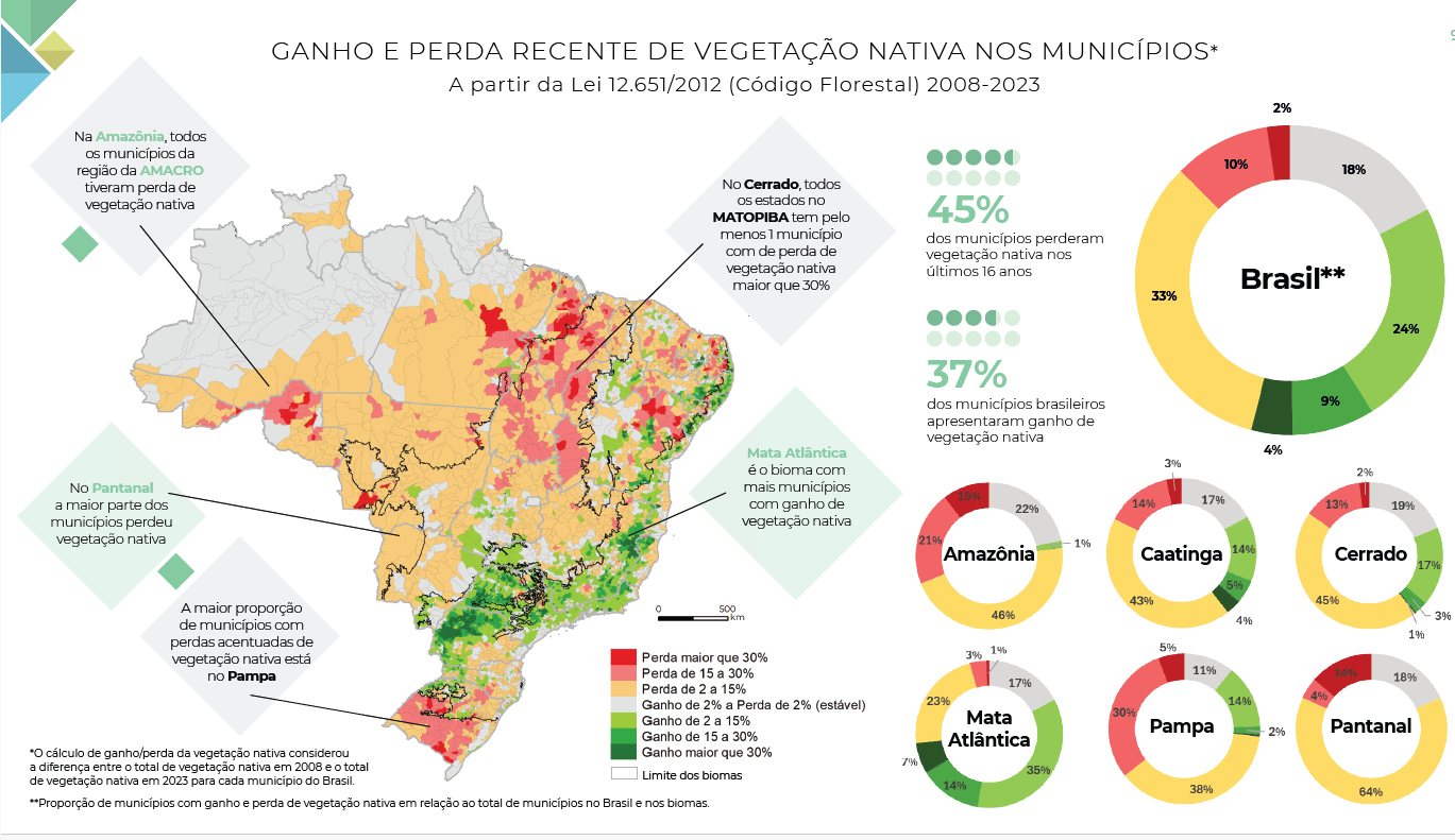 Perdas e ganhos de vegetação nativa nos municípios (Arte: Mapbiomas)