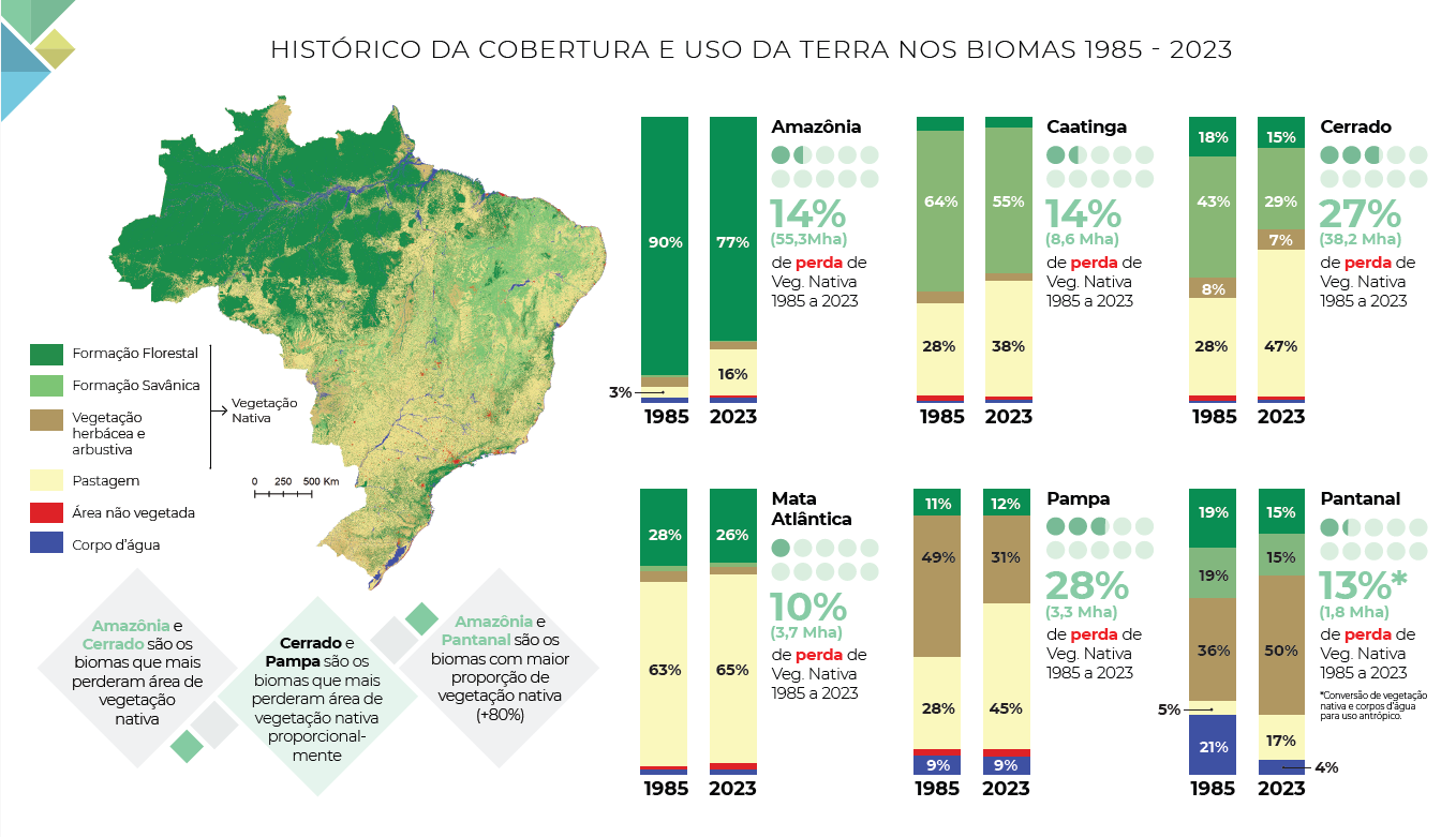 A perda da vegetação nativa por bioma: maior em número absolutos na Amazônia; em percentual, no Cerrado e no Pampa (Arte: Mapbiomas)