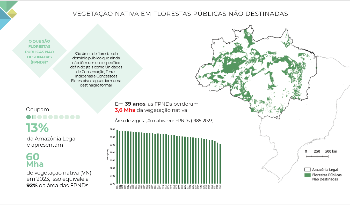 Florestas públicas não destinadas (FPDNs) perderam 3,6 milhões de hectares desde 1985 (Arte: Mapbiomas)