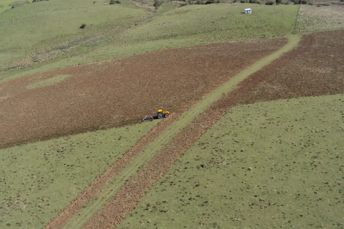 Foto colorida de paisagem do Pampa com trator sendo utilizado para devastar campo nativo do Pampa