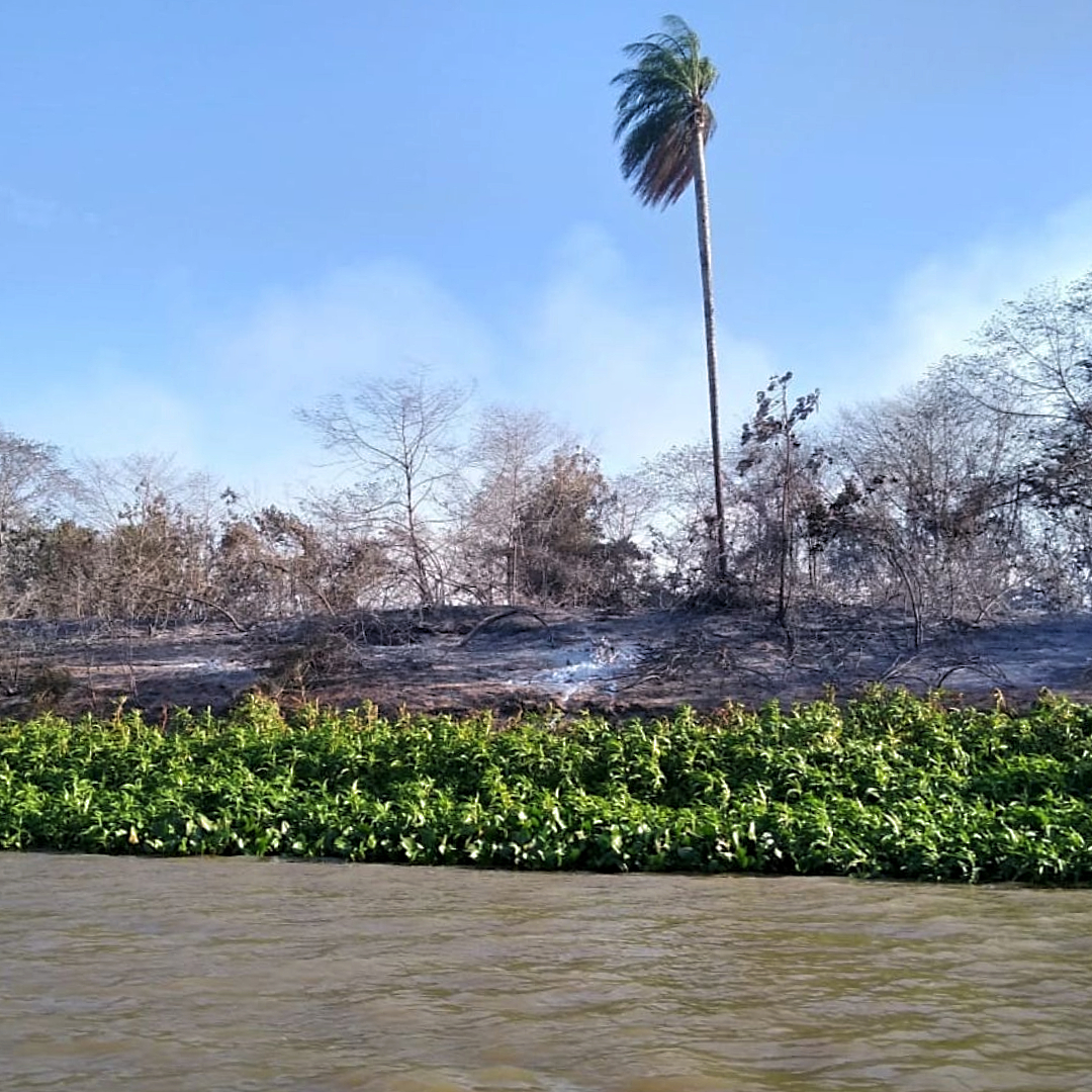 O fogo que veio da Bolívia na região próxima da Serra do Amolar. Foto Beto Arruda