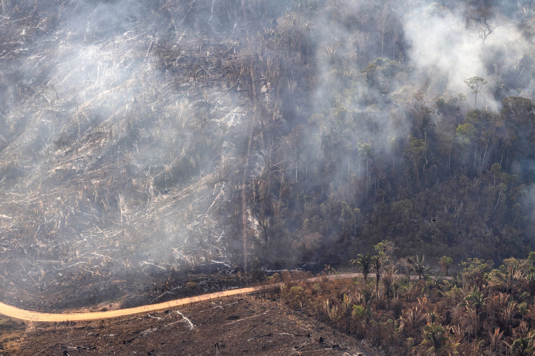 Fumaça de queimadas entre o sul do Amazonas e norte de Rondônia: julho de 2024 teve o maior registro de fogo na Amazônia desde 2005, quando ocorreu o recorde histórico de 19 mil focos de calor para um mês de julho (Foto: Marizilda Cruppe / Greenpeace)